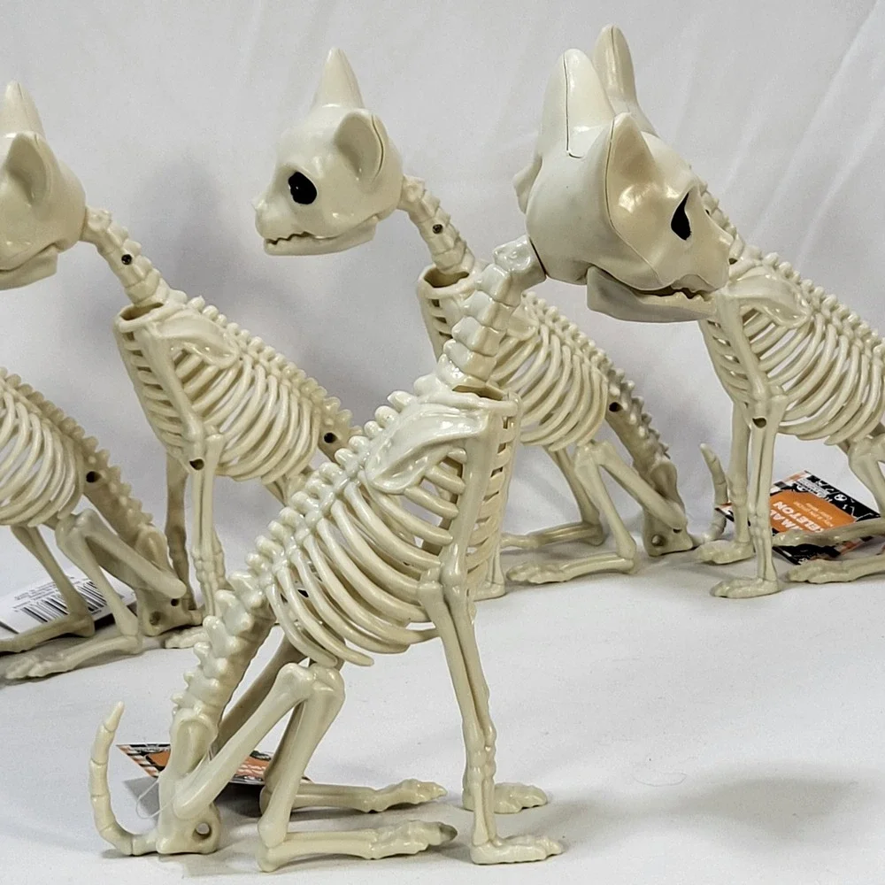 Halloween Kitty Cat Animal Skeleton 7.2